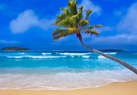 Tenger, a bálnák élőhelye